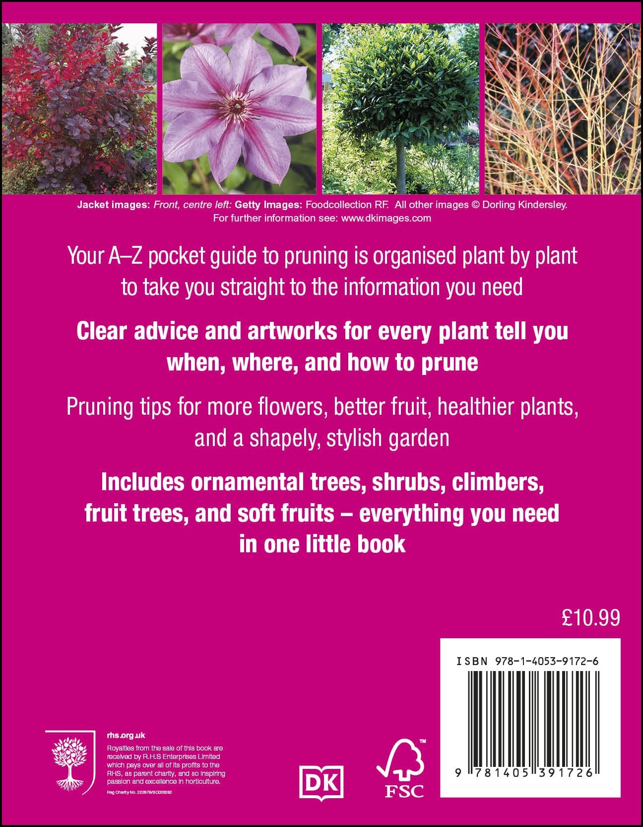 RHS Pruning Plant by Plant: How to Prune Over 200 Popular Plants - Essential Guide for Gardeners, Landscapers & Plant Enthusiasts | Perfect for Home Gardens, Nurseries & Professional Landscaping