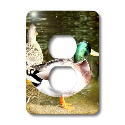 3D Rose Duck Outlet Cover - Multi-Color Wall Plate Protector for Kids, Baby Proof Electrical Outlet Safety Cover - Perfect for Nursery, Playroom & Childproofing Homes