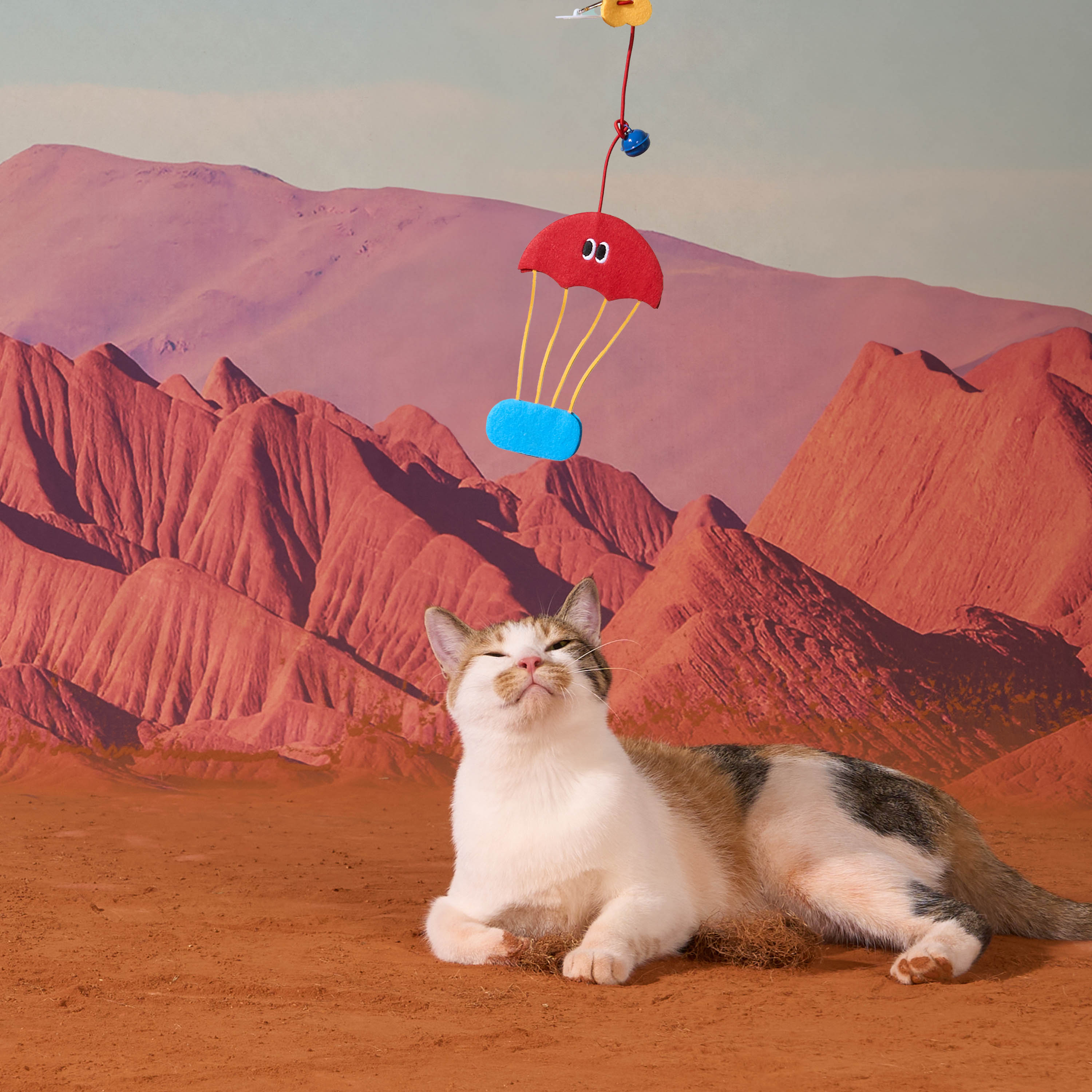 ZEZE Pets Elastic String Cat Toy - Interactive Play for Kittens & Cats - Perfect for Indoor Exercise & Bonding