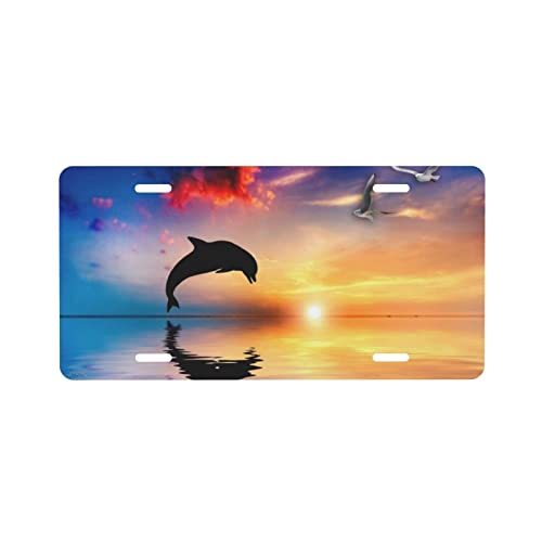 Dolphins Jump Ocean Sunset