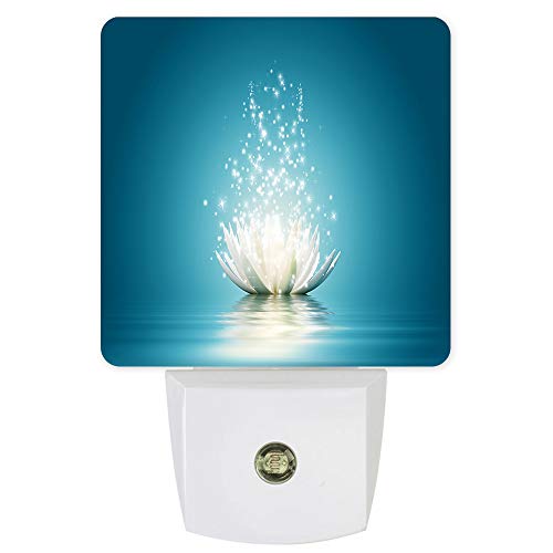 Magic Lotus flowerFGE7670