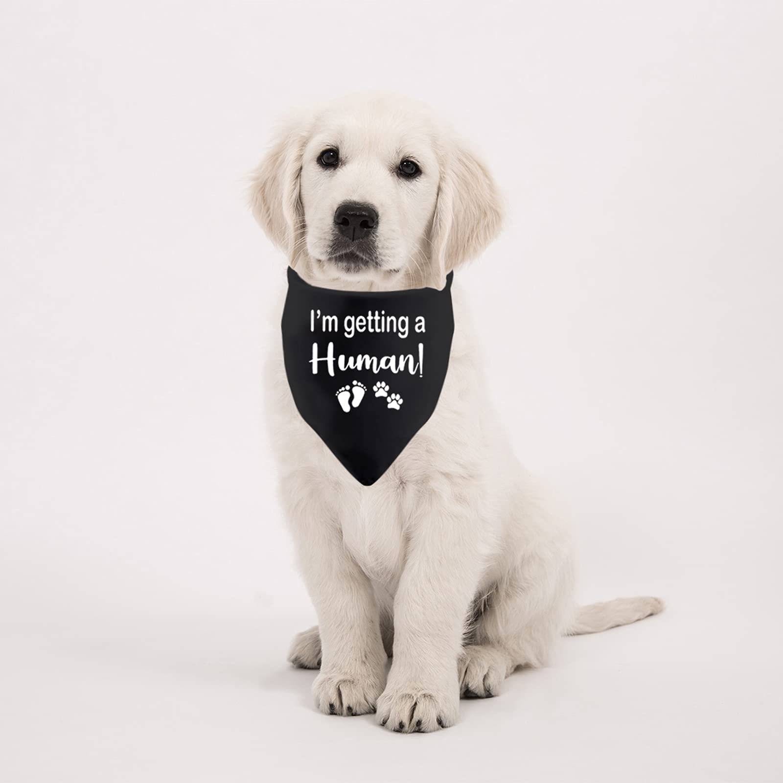 1 Piece 'I'm Getting A Little Human' Dog Bandana - Pregnancy Announcement & Baby Shower Gift (Black) - Perfect for Gender Reveals, Maternity Photos & Pet Announcements