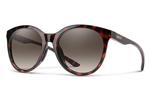 Tortoise / Polarized Brown Gradient