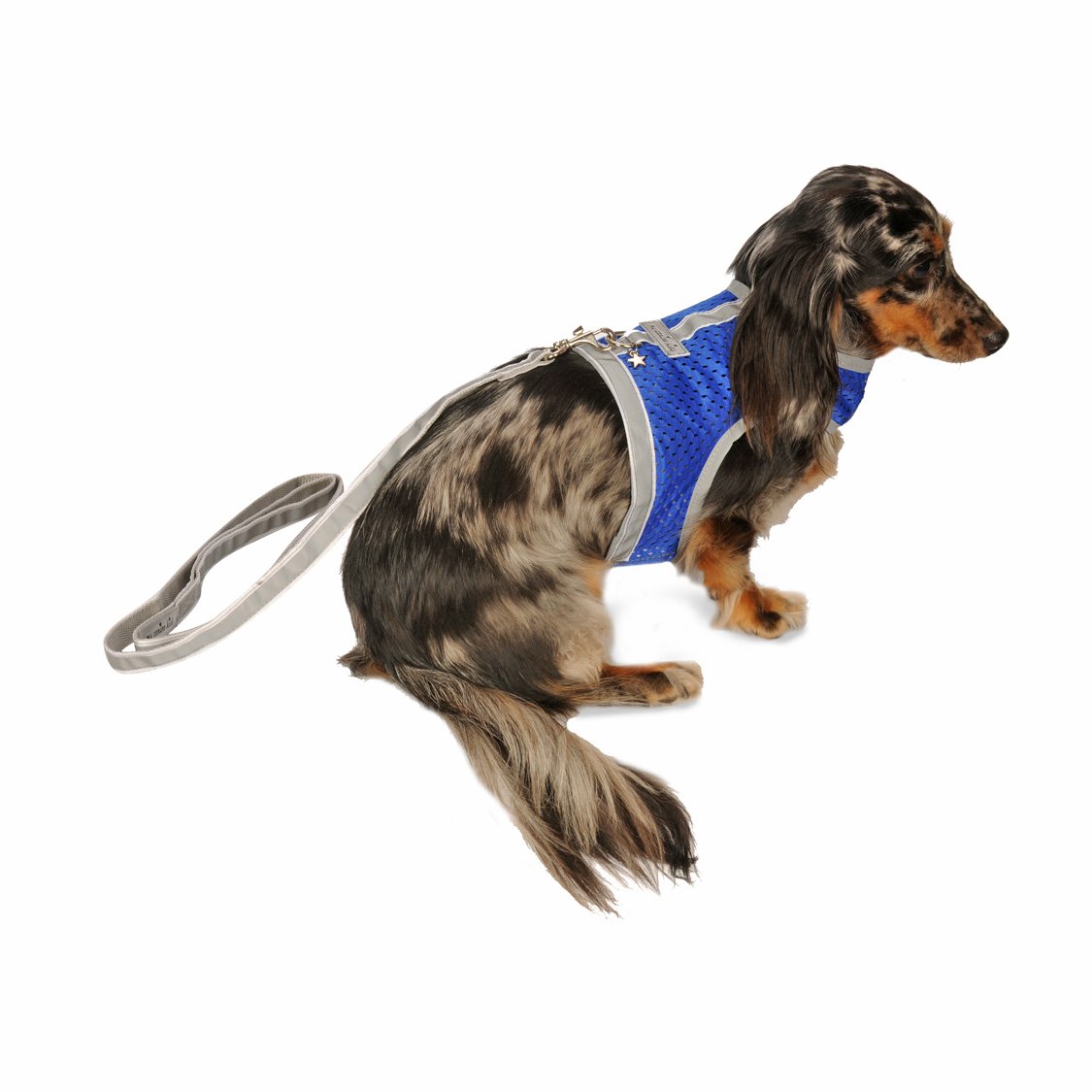 **Reflective Mesh Dog Harness for Small Dogs & Puppies - Lightweight, Breathable & Adjustable with Velcro Closure - Perfect for Walking, Running & Outdoor Adventures**