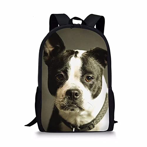 Pet Dog-1pcs