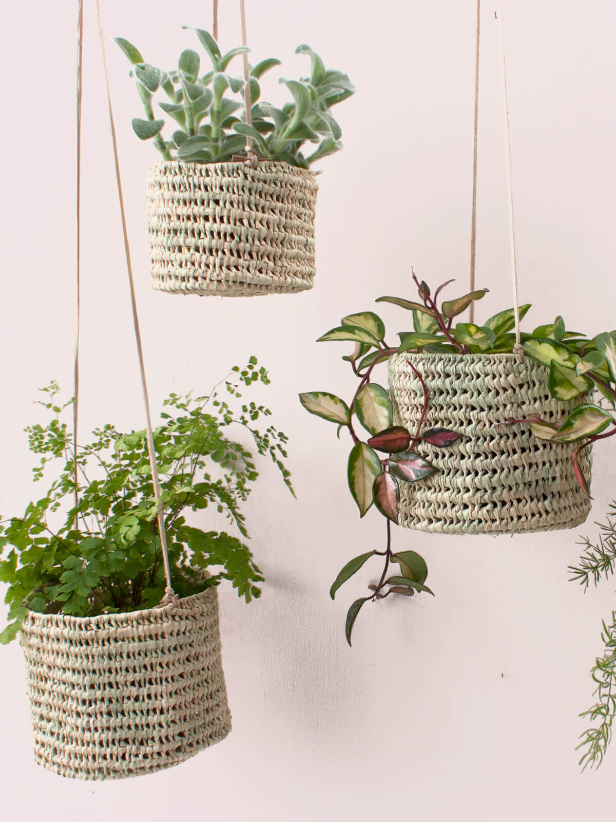 Open Weave Hanging Baskets for Plants - Breathable Wall Mounted Planters for Indoor & Outdoor Decor - Perfect for Herbs, Flowers, and Succulents