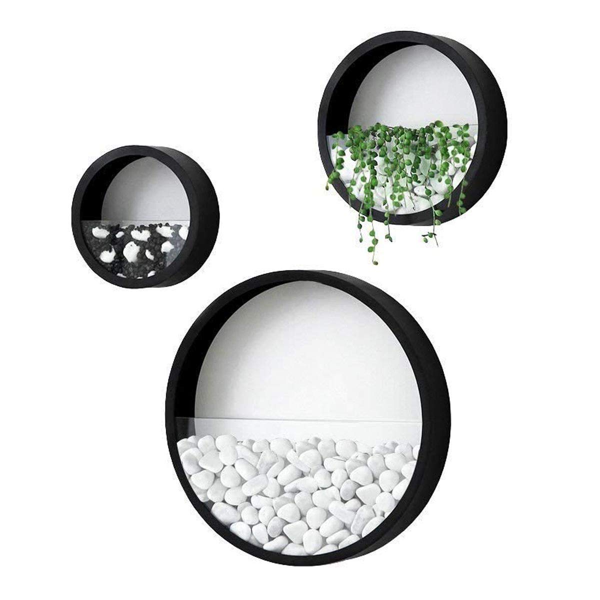 Modern Wall Planters Set of 3 - Round Metal Iron Hanging Vases for Succulents & Flowers | Indoor Vertical Garden Decor (Sizes S, M, L) | Perfect for Living Room, Bedroom, Balcony & Office Decoration