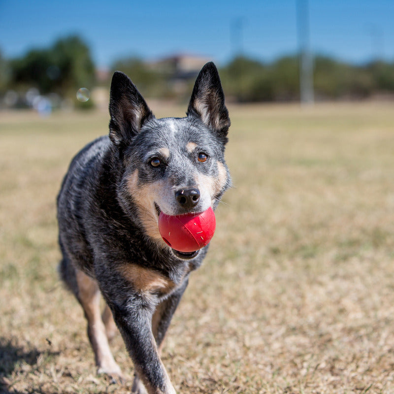 Kong Classic Dog Toy Ball with Hole - Durable Chew Toy for Aggressive Chewers, Fetch & Training - Perfect for Large & Small Dogs