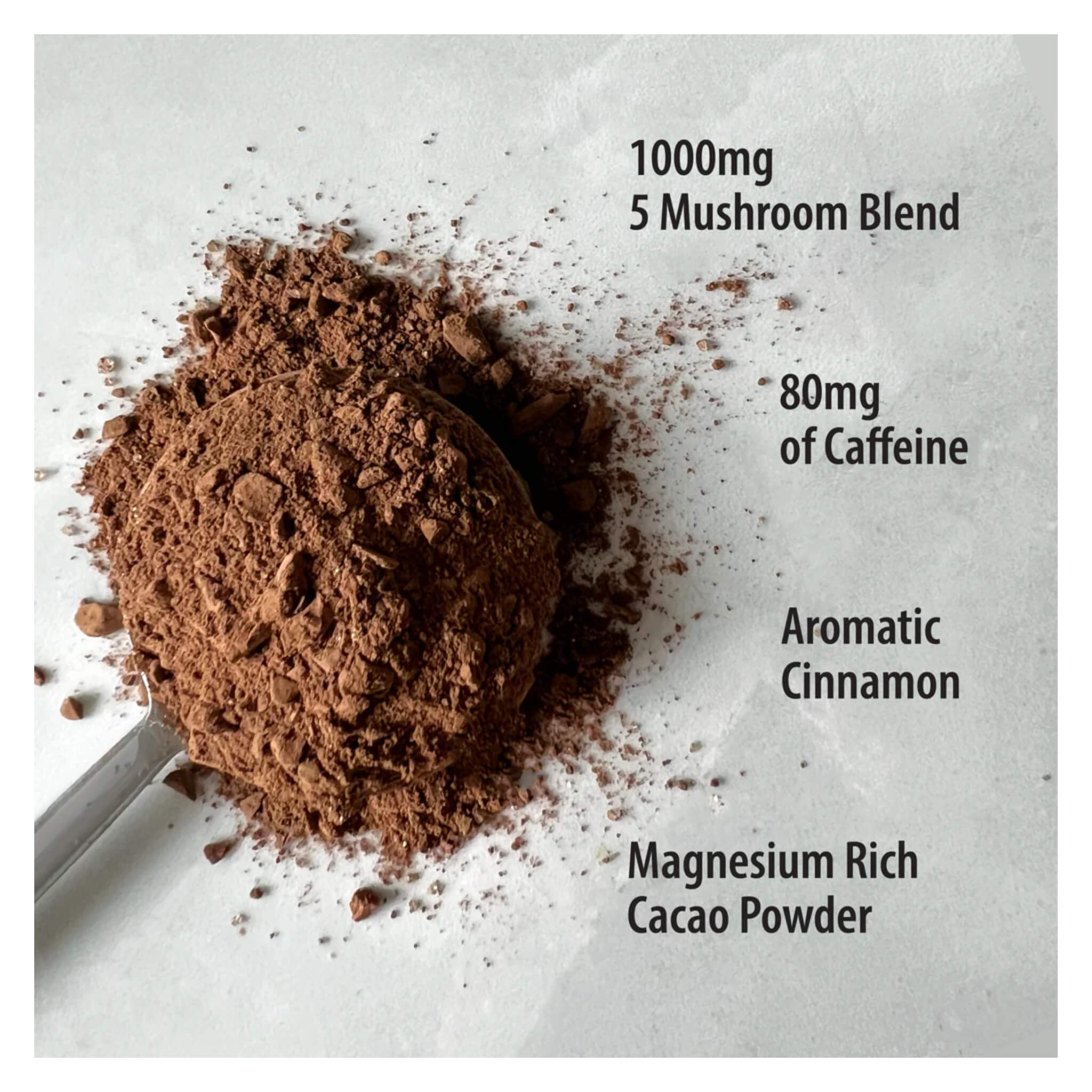 Premium Mocha Coffee Beans - Rich & Smooth Flavor for Espresso & Drip Brewing | Perfect for Home, Office & Cafes