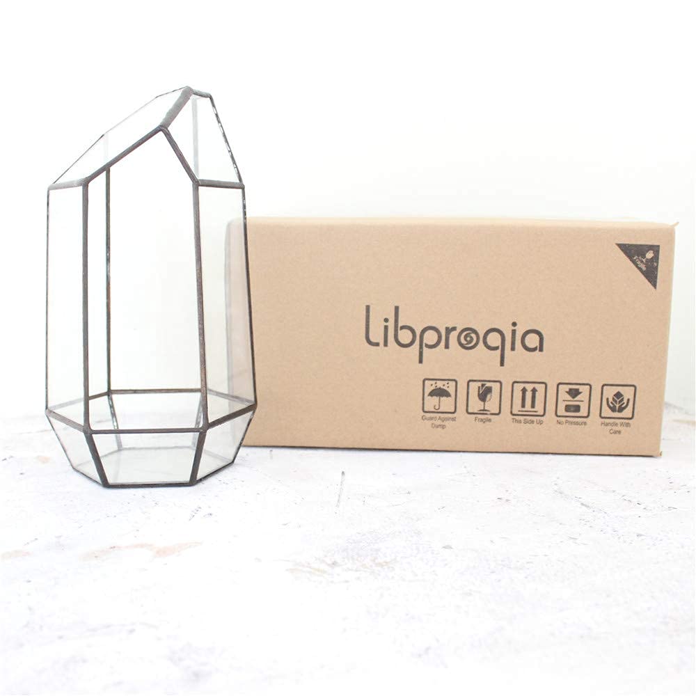Geometric Glass Terrarium Planter for Cacti & Succulents - Irregular Tabletop Container (6.5x5.7x9.8 Inches) - Modern Home, Office & Garden Decor - Perfect for Indoor Plants, Desk Decor & Gift Ideas