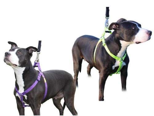 Step-in Dog Harness for Small Dogs - Adjustable Pink Pet Harness with Soft Padding | Perfect for Walking, Training & Outdoor Adventures