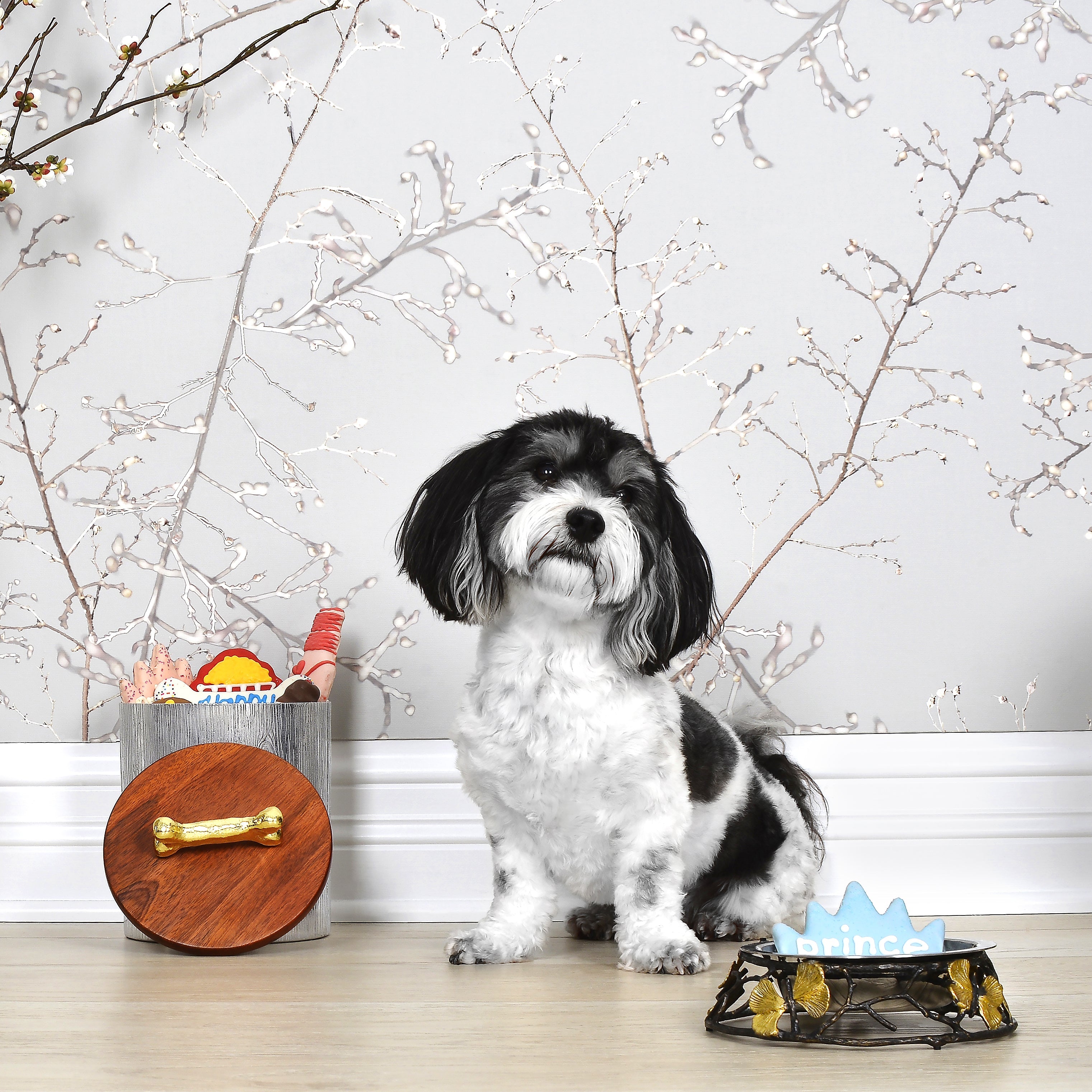 Premium Dog Bone Treat Canister - Airtight Storage for Dog Treats & Snacks - Perfect for Training, Travel & Home Use