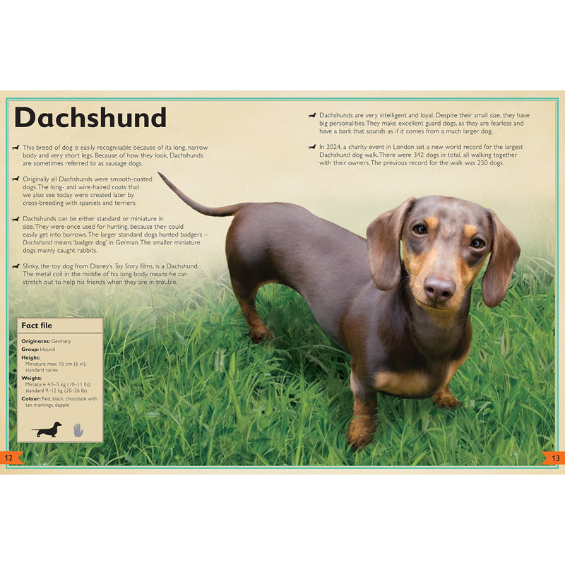 The Magnificent Book of Dogs - Comprehensive Guide to Dog Breeds, Care & Training | Perfect for Dog Lovers, Pet Owners & Veterinarians | Home, Office & Gift Use