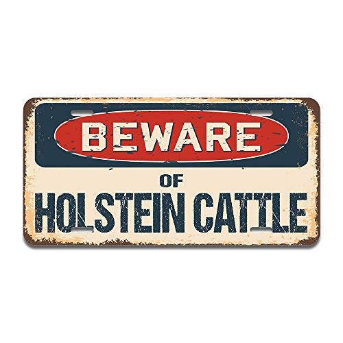 Beware of Holstein Cattle