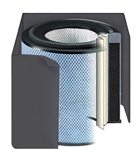 Austin Air Healthmate Junior Replacement Filter - Zeolite, HEPA & Carbon Air Purifier Filters for Home | Improves Indoor Air Quality | Perfect for Allergies, Asthma & Smoke Removal