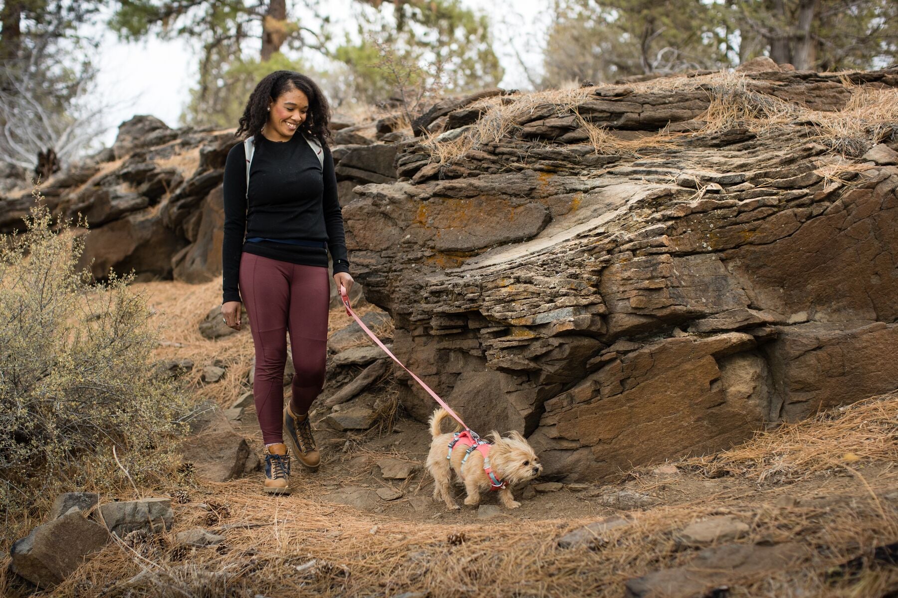 Ruffwear Hi & Light® Ultralight Dog Harness in Phosphorescent Yellow (Lichen Green) - Perfect for Hiking, Running & Outdoor Adventures with Your Pet