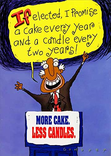 Funny Birthday Card - More Cake, Less Candles by Oatmeal Studios | Humorous Greeting Card for Friends & Family | Perfect for Birthdays, Parties & Special Occasions