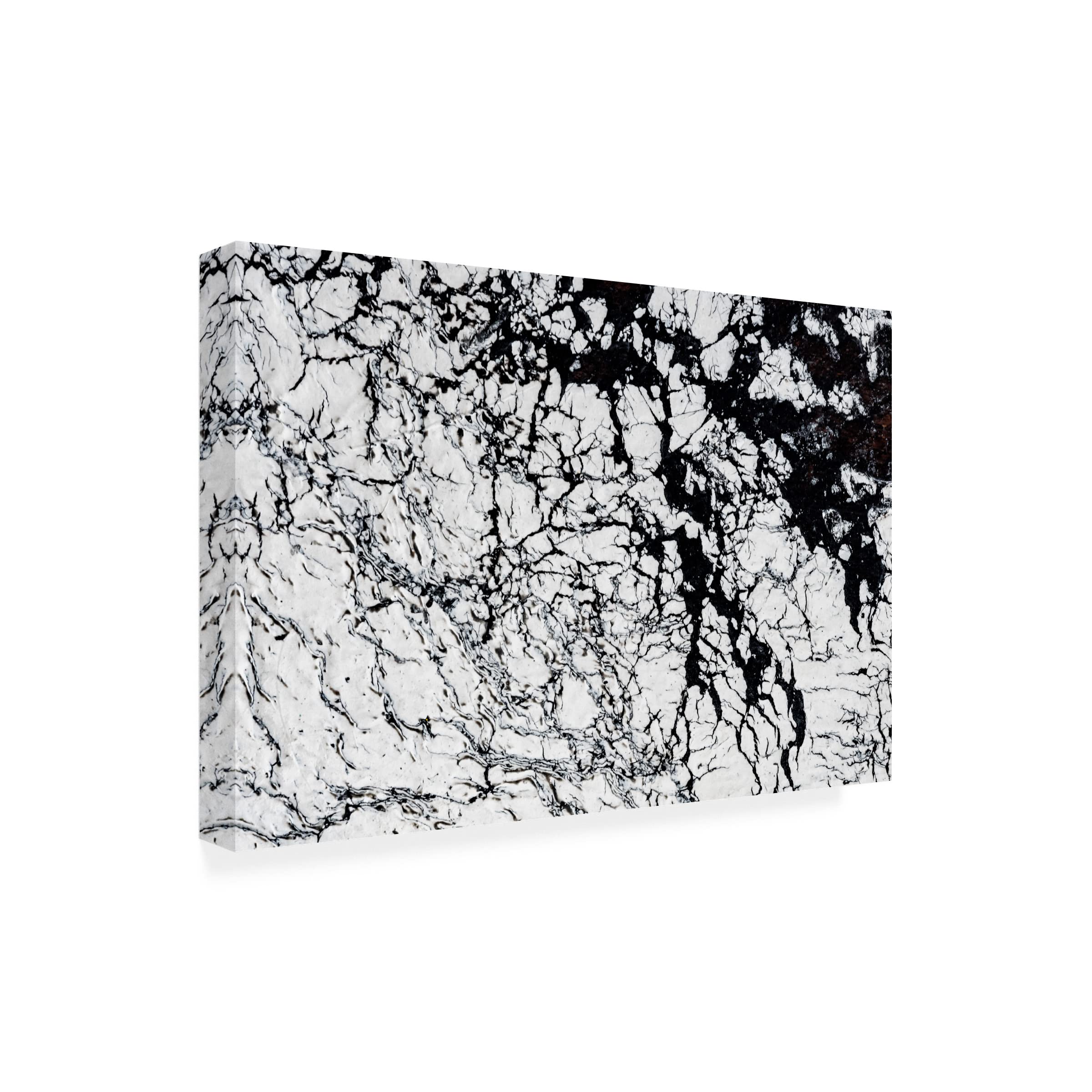 Trademark Fine Art 'Wabi Sabi Study 01' by Eva Bane - 16x24 Inch Canvas Wall Art - Modern Abstract Painting for Living Room, Bedroom & Office Decor