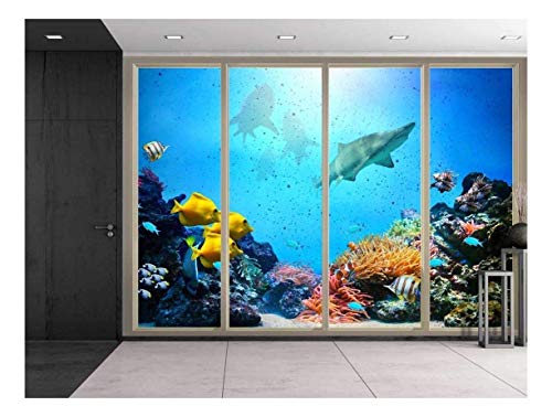 Under the Deep Ocean