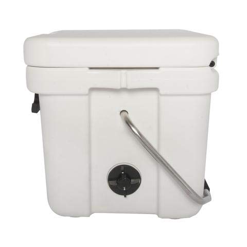 Calcutta Hard Cooler - 5-Day Ice Retention Insulated Outdoor Ice Chest | Portable Cooler for Fishing, Boating, Camping & Tailgating | 11L Travel Drink Cooler with Drain Plug | Perfect for Beach Trips, Picnics & Outdoor Adventures