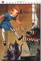 No Flying in the House - Funny Warning Sign for Pet Owners & Parents - Perfect for Home, Nursery, or Playroom Decor