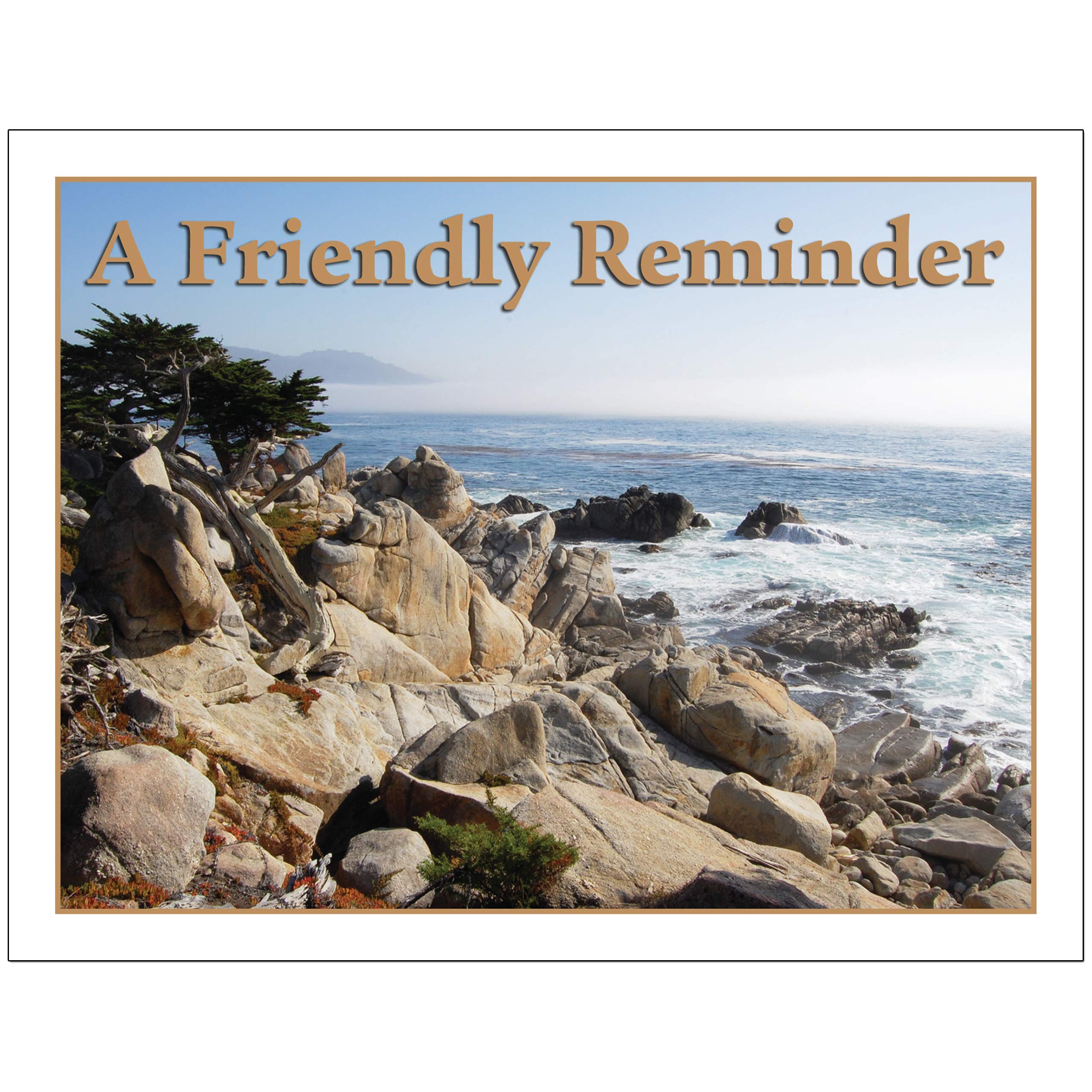 Laser Reminder Postcards for Dental, Optometry, Veterinary & Chiropractic Offices - 500 Pack of 4.25