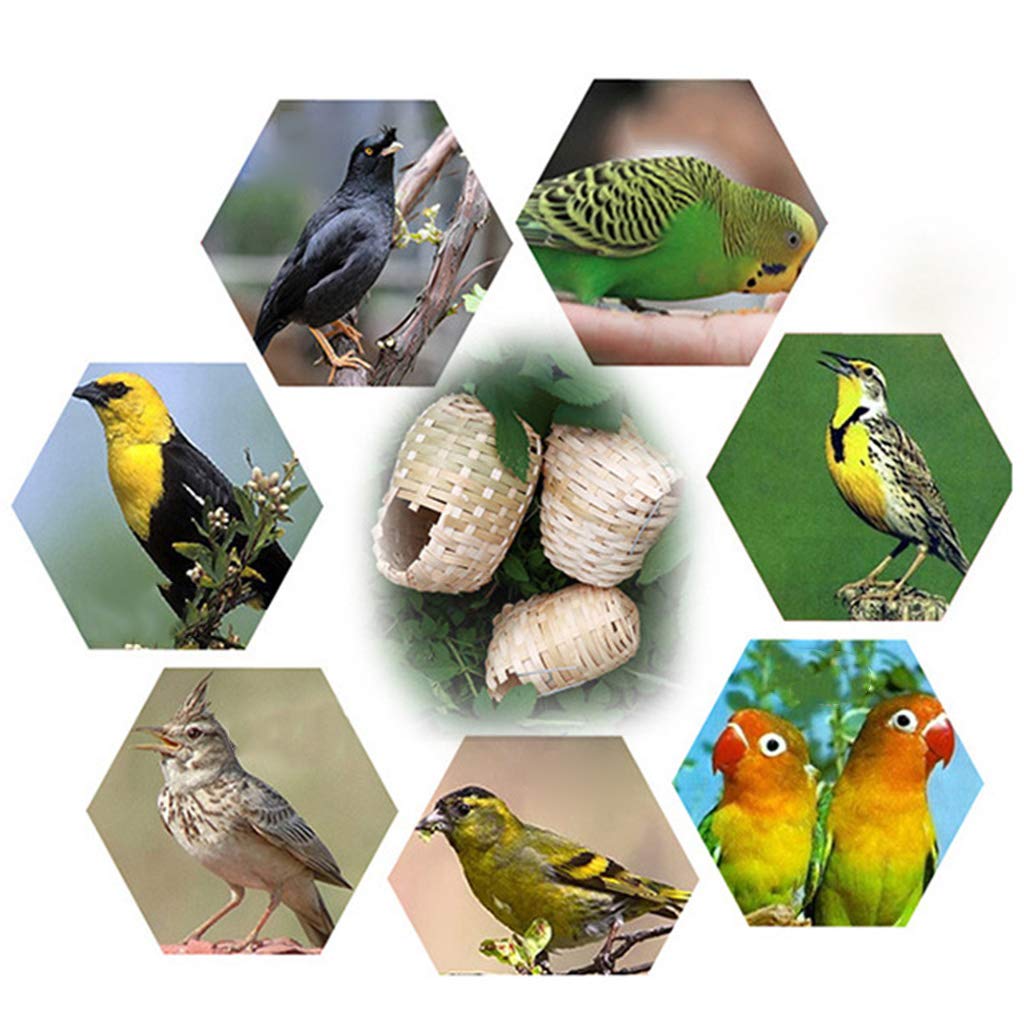 Handmade Natural Bamboo Bird House for Finches - Outdoor Bird Shelter, Cage & Hideout Toy - Perfect for Garden, Backyard & Patio Bird Watching