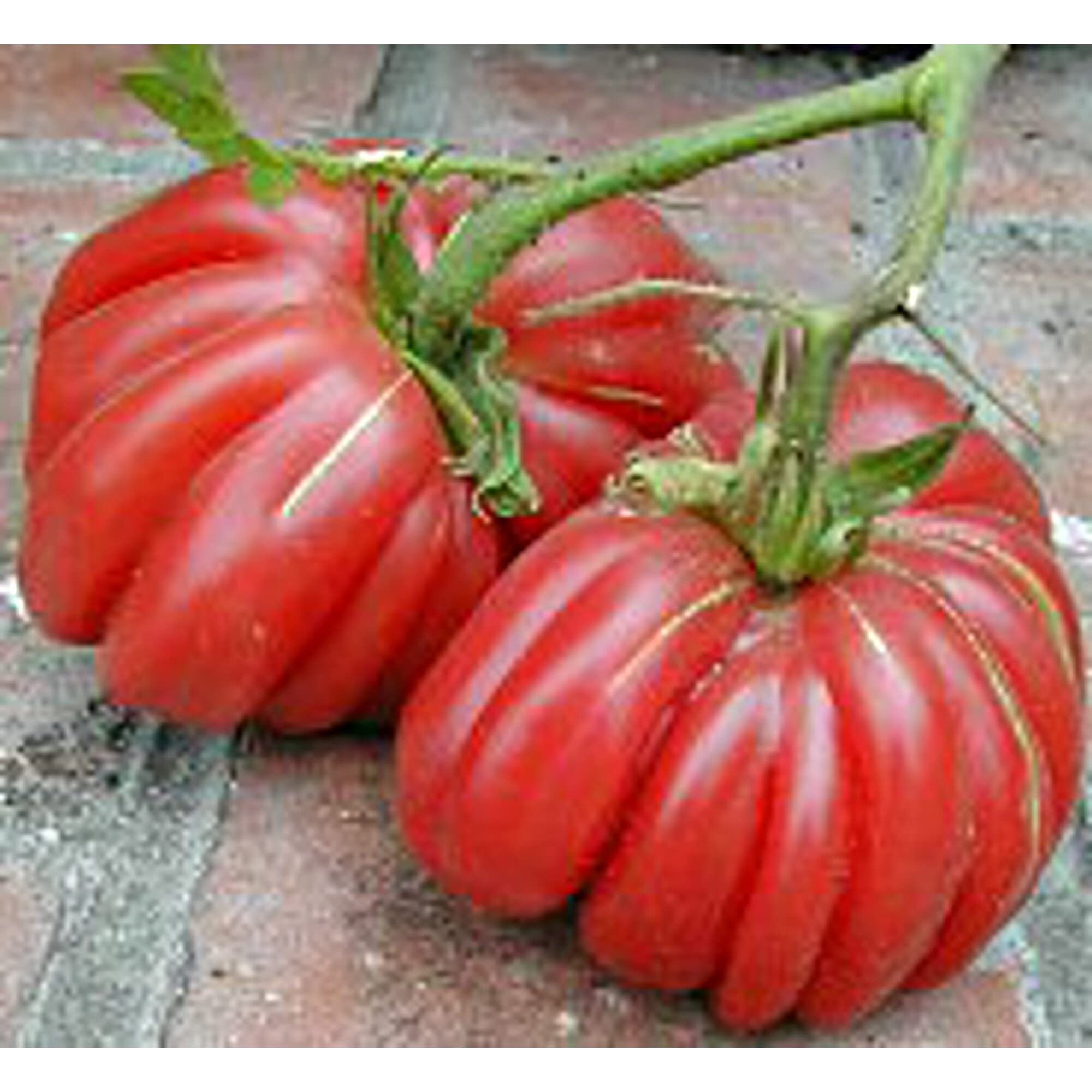 Organic Zapotec Tomato Seeds (20+ Seeds) | Non-GMO Heirloom Variety | Home Garden, Greenhouse & Container Planting | Fresh Salsa & Salad Tomato Seeds for Cooking & Canning