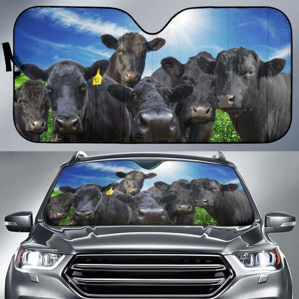 Car Sun Shade for Windshield - Universal Fit 26
