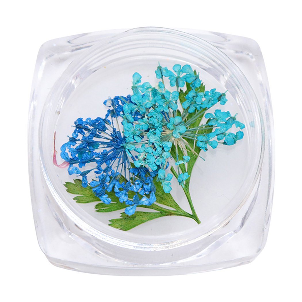 3D Dried Flower Nail Art Decorations for Manicure & DIY Beauty