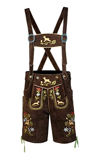 Brown With Multicolor Embroidery