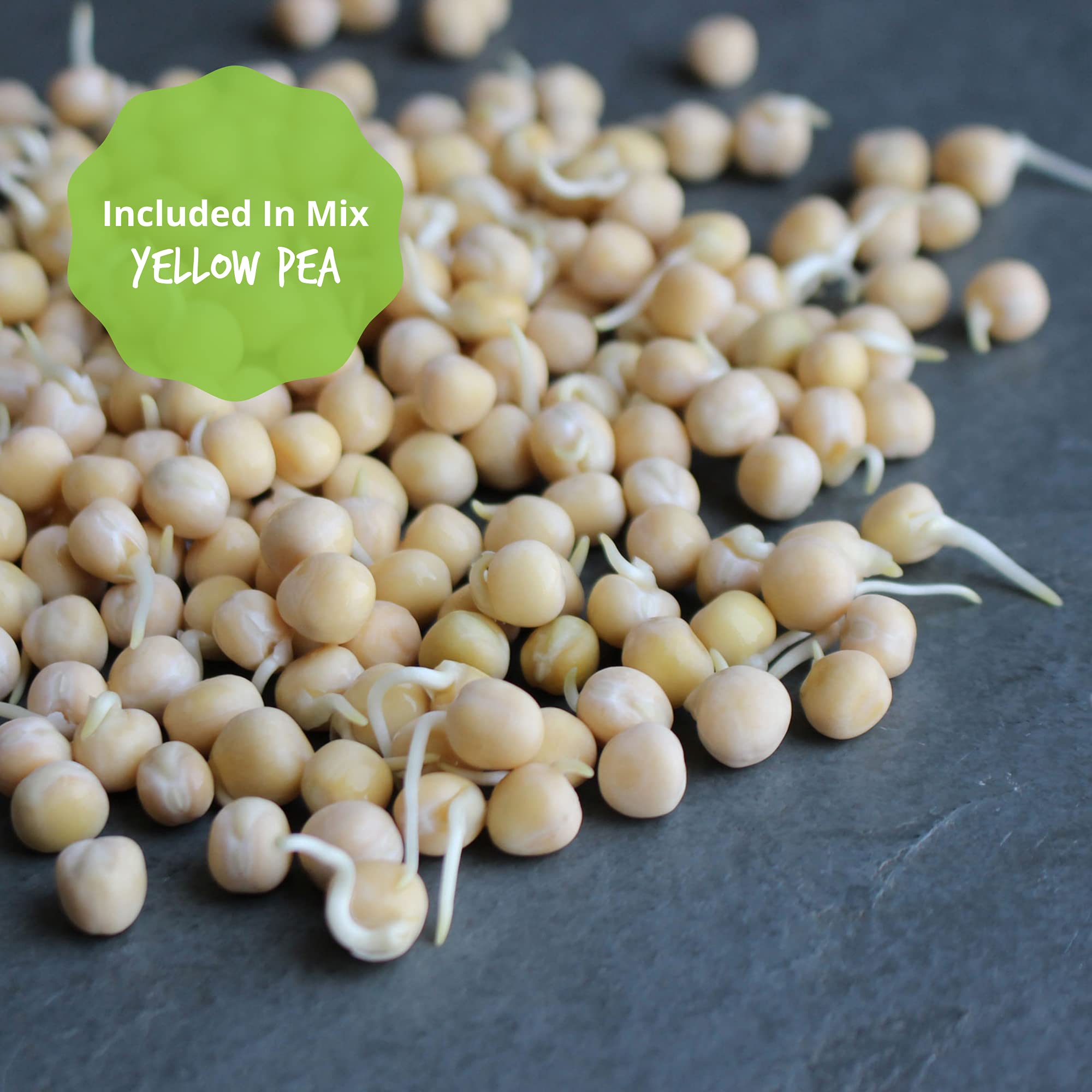 Organic Sprouting Seeds - Handy Pantry Sweet Protein Mix - 35 lb. Bulk Sealed Storage Bucket - Fava Bean, Mung Bean & Yellow Pea Seeds - High Protein Superfood for Daily Health, Emergency Food Storage & Home Gardening