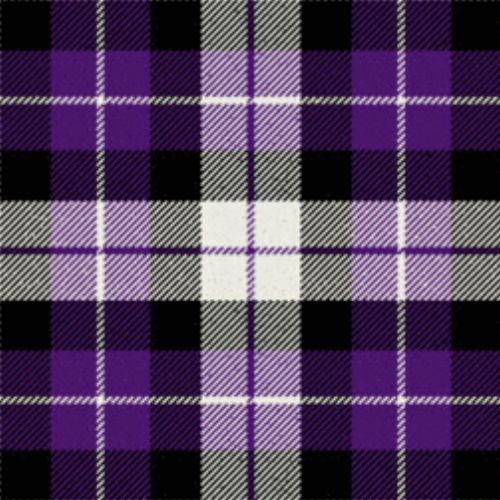Furman University Tartan Plaid Scarf - Official University Merchandise for Alumni & Students - Perfect for School Events, Games & Gifting