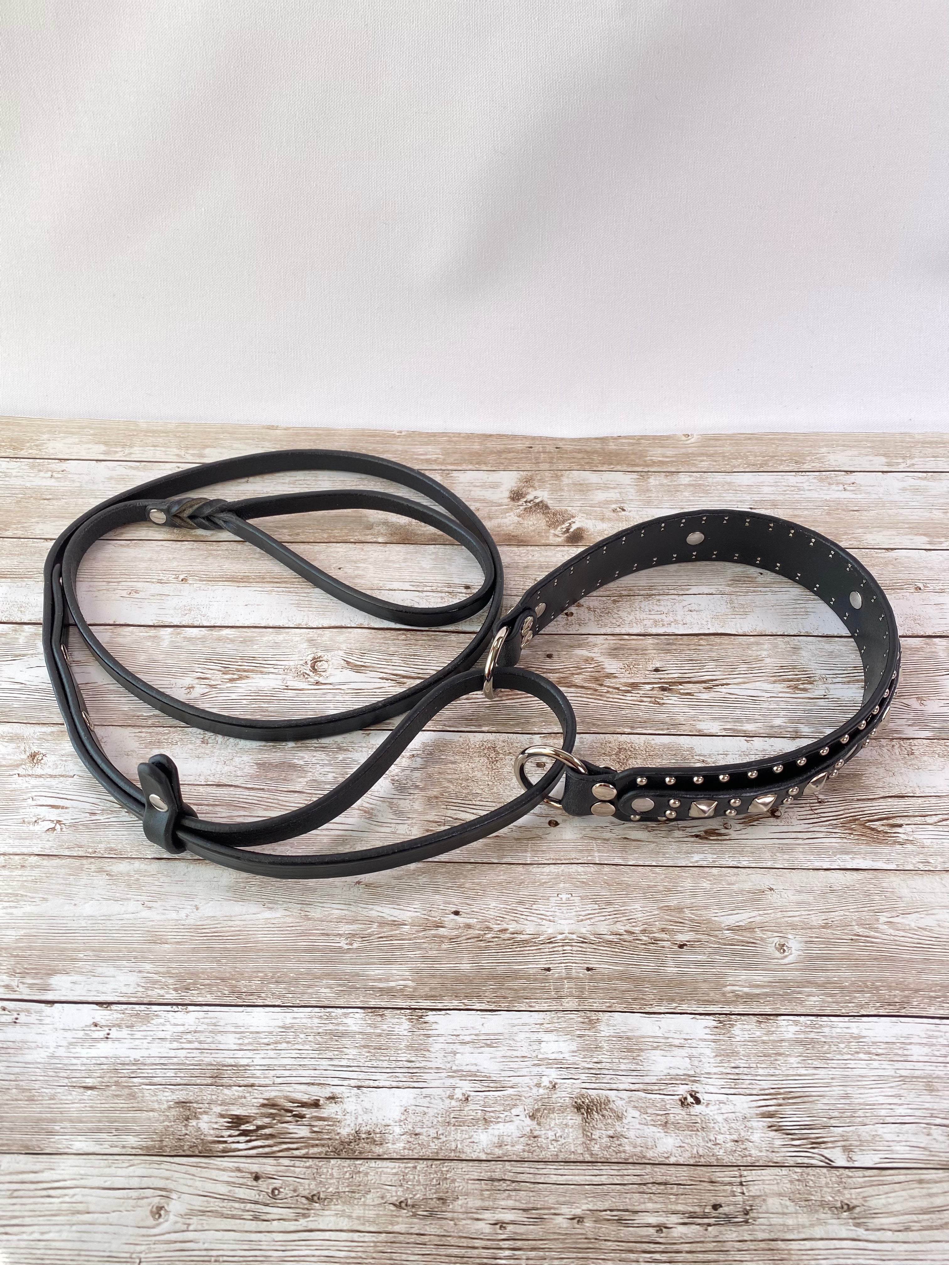 Philly French Martingale Horse Training Equipment – Adjustable Leather Headpiece for Dressage & Jumping | Perfect for Equestrian Training & Show Riding