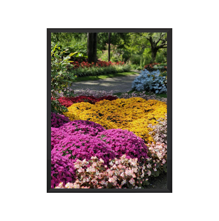 11 x 17 Extra Deep Poster Snap Frames - 1 5/8