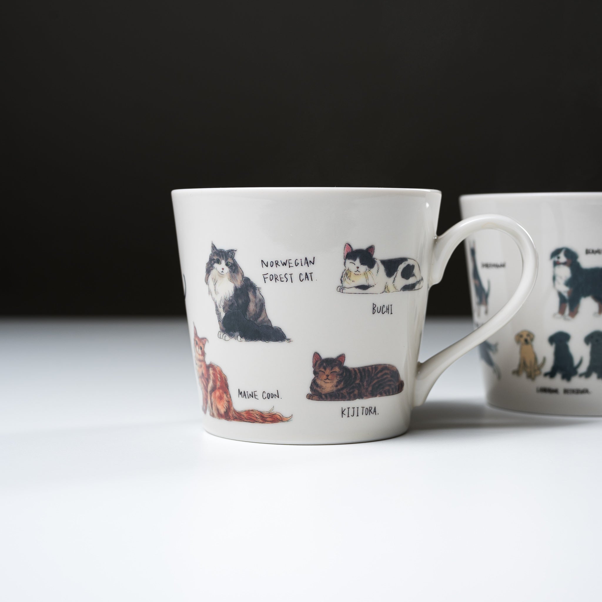 Premium Mino Ware Cat Lover's Magic Thermal Mug - Heat Changing Ceramic Coffee Cup with Cute Cat Design - Perfect for Tea, Coffee & Gift Giving