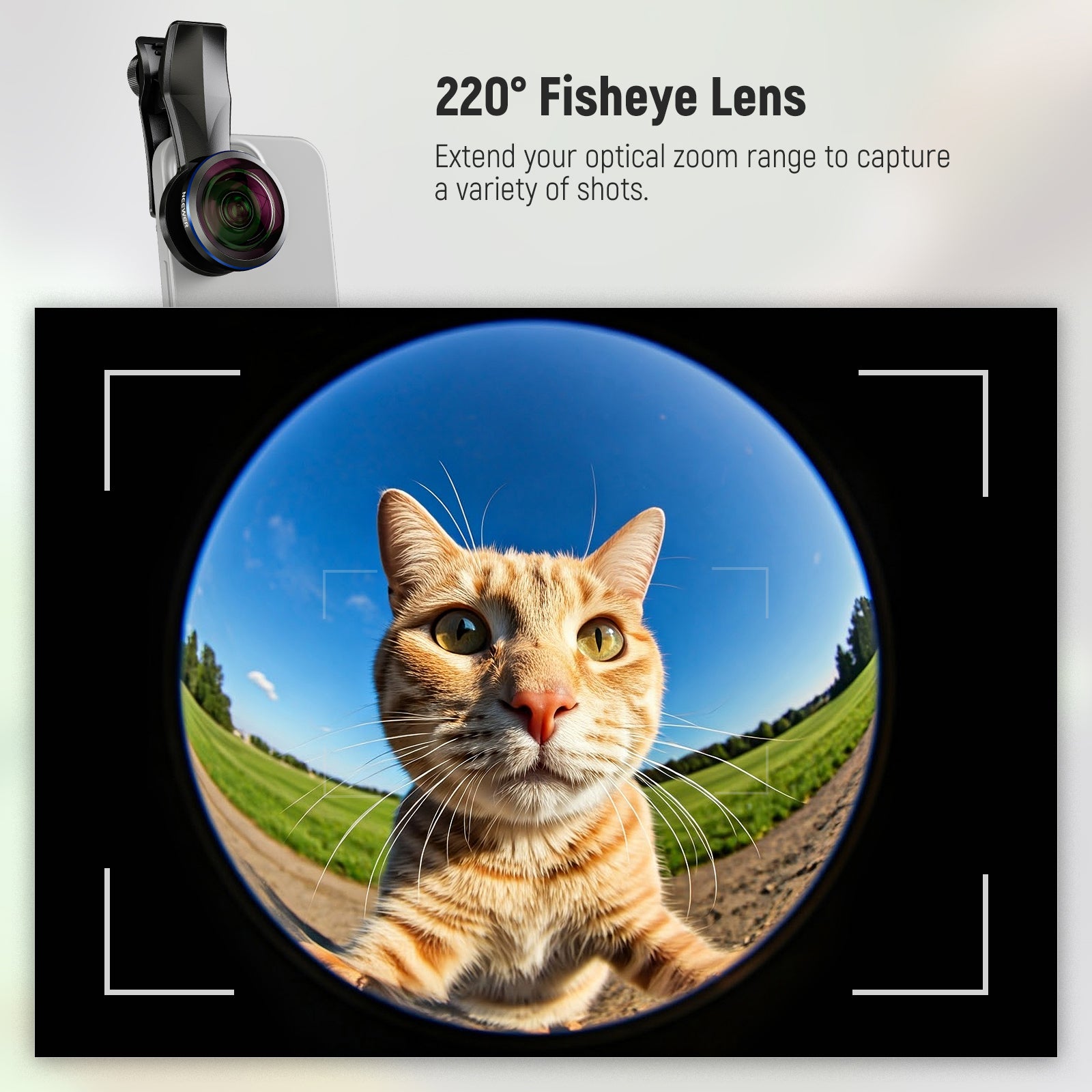 NEEWER LS 29 PRO 8mm Fisheye Lens with 17mm Thread - Universal Phone Lens Clip for iPhone, Samsung & Android - Perfect for Wide-Angle Photography, Vlogging & Creative Shots