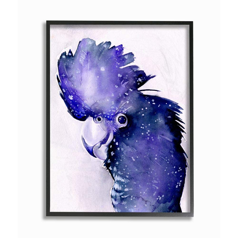 Stupell Industries Space Bird Watercolor Purple Animal Painting - Jennifer Paxton Parker Wall Art - 24x30 Inches Black Framed Canvas - Modern Home Decor for Living Room, Bedroom & Office