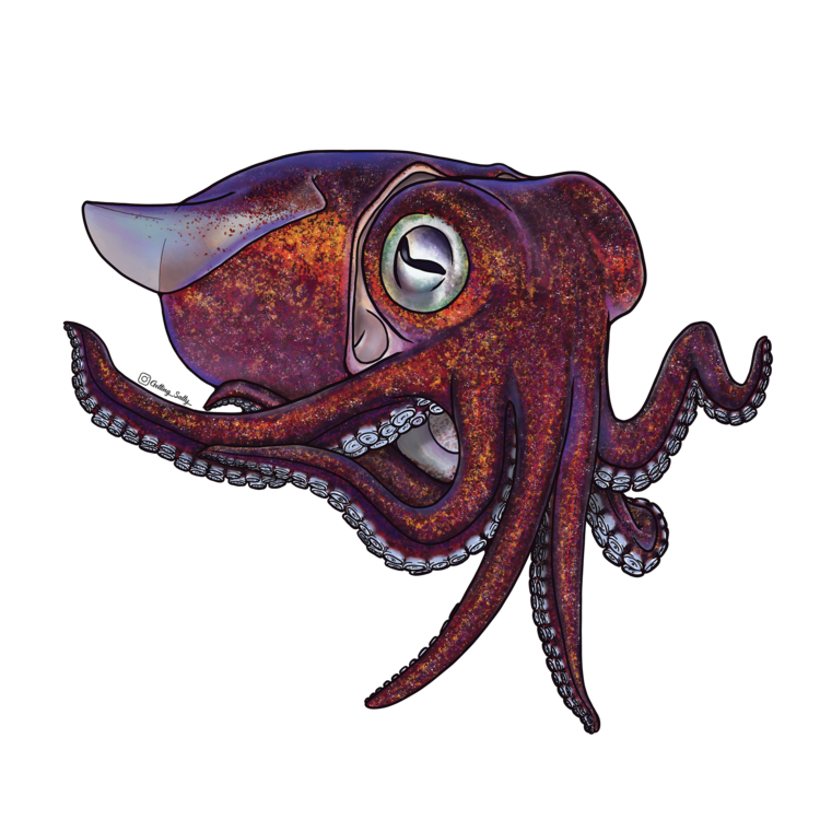 Mini Stubby Squid Plush Toy - Soft & Cute Stuffed Animal for Kids & Collectors | Perfect for Gifts, Room Decor, and Cuddling