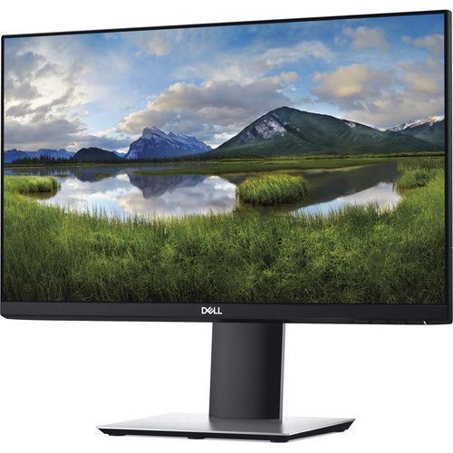 Dell 22