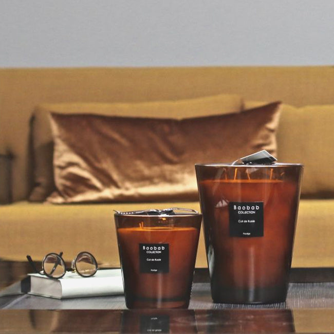 Baobab Collection Les Prestigieuses Cuir de Russie Scented Candle - Luxury Leather Scented Soy Wax Candle for Home Decor, Romantic Gifts & Relaxation