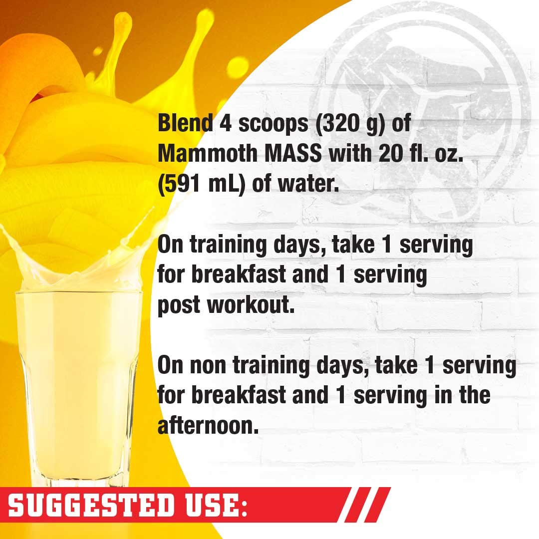 Mammoth Mass Weight Gainer Protein Powder - 15lb High Calorie Muscle Building Shake with Whey Isolate & Casein, Low Sugar Meal Replacement for Weight Training & Bodybuilding - Banana Flavor | Perfect for Post-Workout Recovery & Bulking Season Nutrition