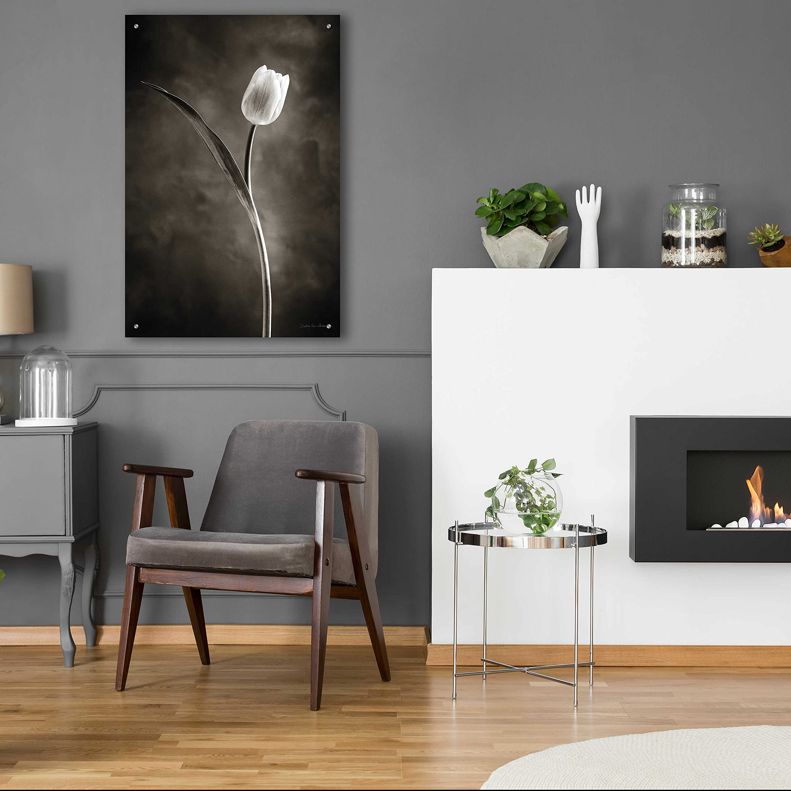 Two Tone Tulips II Acrylic Glass Wall Art by Debra Van Swearingen - 24x36 Inch Modern Floral Painting for Living Room, Bedroom & Office Decor