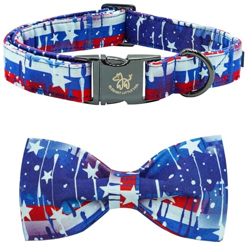 American Star
