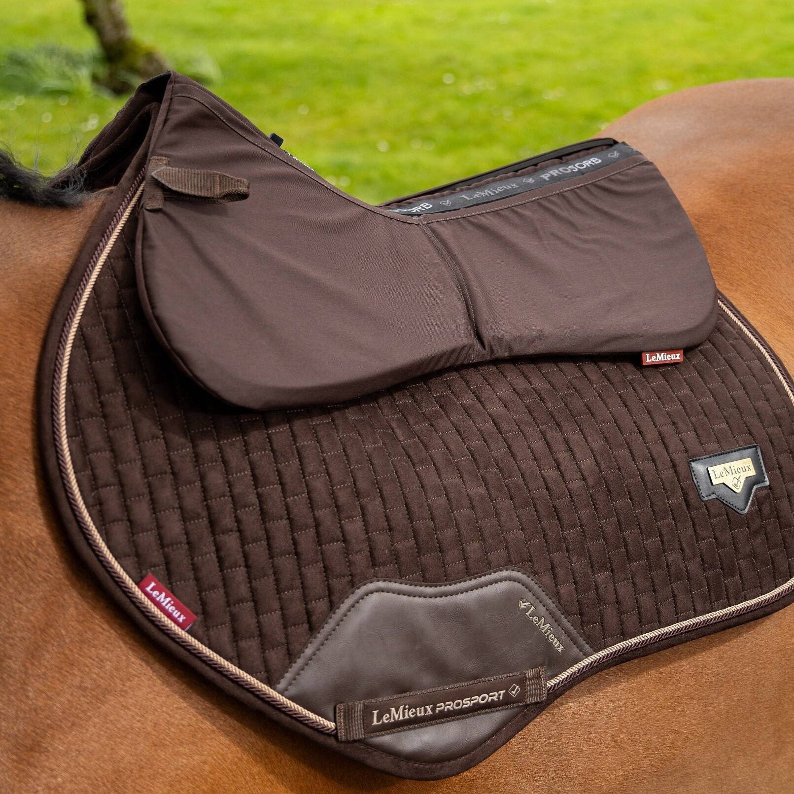 LeMieux ProSorb Plain 2 Pocket Half Pad - Breathable Horse Saddle Pad for Riding & Training - Perfect for Dressage, Jumping & Trail Riding