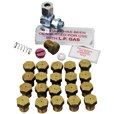 Natural Gas to LP Gas Conversion Kit for General Pilot & Robertshaw Valve - NRE #051313 - Perfect for Home Appliances & HVAC Systems