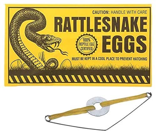 Rhode Island Novelty Joke Rattlesnake Egg Envelope - Set of 6 Prank Gifts for Friends, Office Pranks & Halloween Party Favors