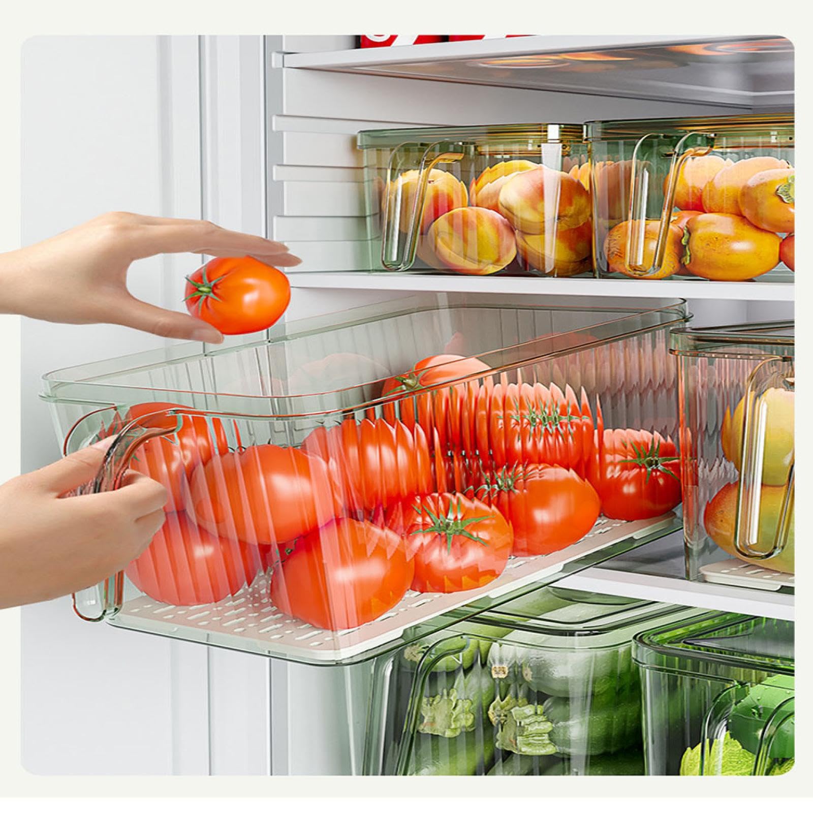 Refrigerator Storage Box - Plastic Crisper Organizer for Vegetables, Fruits & Leftovers | Airtight Food Containers for Kitchen & Fridge Organization