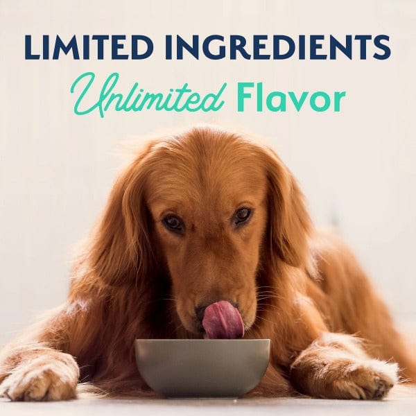 Natural Balance Limited Ingredient Chicken & Sweet Potato Recipe Dry Dog Food - Grain Free, Hypoallergenic for Sensitive Stomachs - Perfect for Adult Dogs with Allergies or Digestive Issues