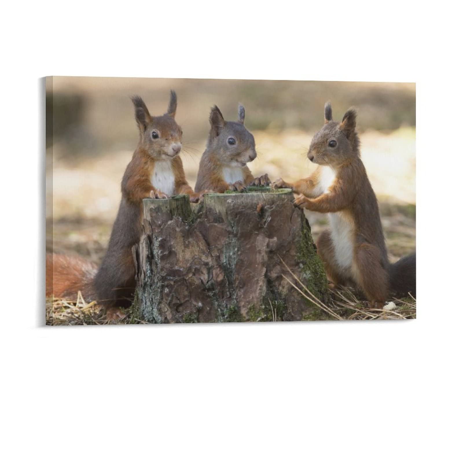 Cute Squirrel Woodland Canvas Wall Art Print - 12x18 Inch (30x45cm) Nature Animal Poster for Home & Office Decor - Perfect for Living Room, Bedroom, Nursery & Gift Giving
